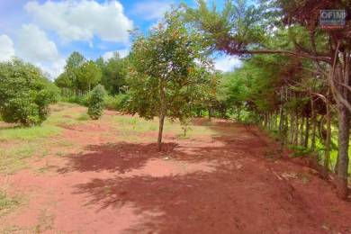 Achat Terrain ANTANANARIVO () - MADAGASCAR