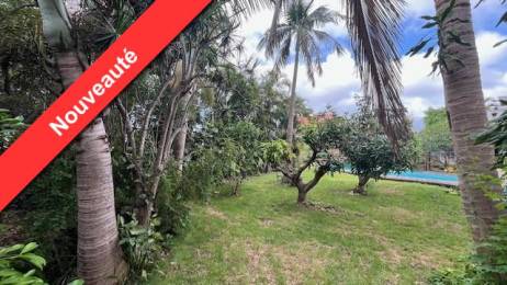 Achat Maison Mi-pente de l'Ouest (97435) - REUNION
