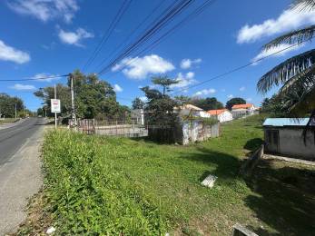 Achat Terrain Le Moule (97160) - GUADELOUPE