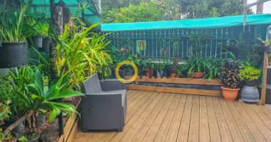 maison tampon 14éme