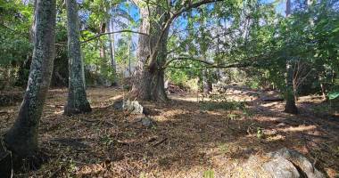 terrain piton st-leu