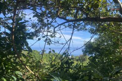 Achat Terrain Saint-Paul (97460) - REUNION