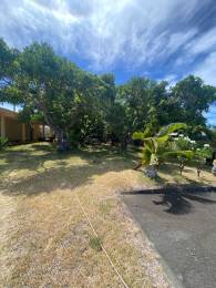 Achat Terrain Sainte-Marie (97438) - REUNION