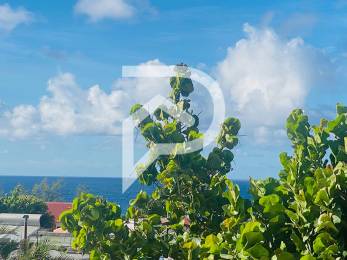 Achat Maison Saint-Joseph (97480) - REUNION