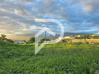 Achat Terrain Saint-Pierre (97410) - REUNION