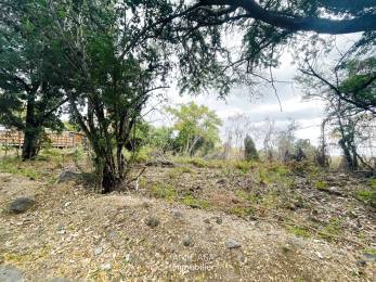 Achat Terrain à Batir La Possession (97419) - REUNION