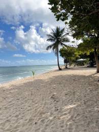 Achat Duplex Le Moule (97160) - GUADELOUPE