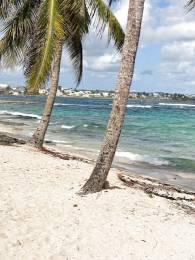 Achat Duplex Le Moule (97160) - GUADELOUPE
