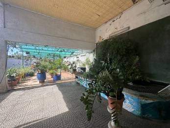 Achat Maison Saint-Louis (97450) - REUNION
