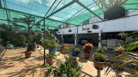 Achat Maison Saint-Louis (97450) - REUNION