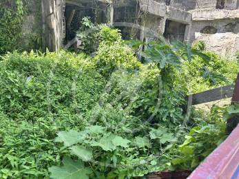 Achat Terrain Pointe à Pitre (97110) - GUADELOUPE