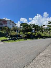 Achat Appartement Le Moule (97160) - GUADELOUPE