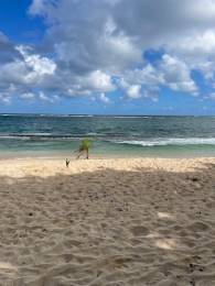 Achat Appartement Le Moule (97160) - GUADELOUPE