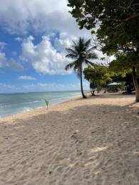 Achat Appartement Le Moule (97160) - GUADELOUPE