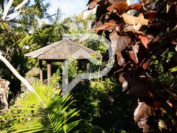 Achat Maison Petite Ile (97429) - REUNION