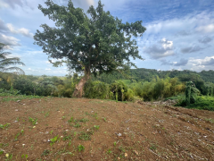 achat villa à petit bourg (97170)