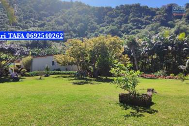 Achat Maison Saint-Joseph (97480) - REUNION