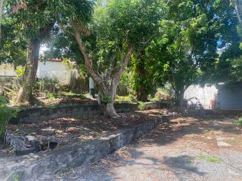 Achat Maison Saint-Denis (97400) - REUNION