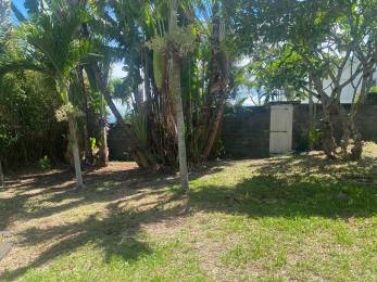 Achat Maison Saint-Denis (97400) - REUNION