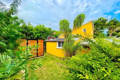 Achat Maison Hauts de Saint-Leu (97424) - REUNION