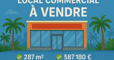 À vendre - local commercial / bureaux de 287 m² - saint-pierre