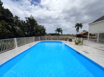 Location Studio Le Moule (97160) - GUADELOUPE