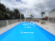 miniature