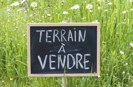 achat terrain à tampon (97430)