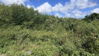achat terrain à grand gaube ()