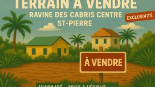 achat terrain à saint-pierre (97410)