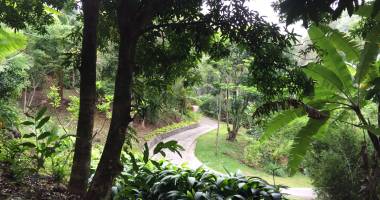 vente d'une propriÉtÉ boisÉe de 12800 m2 batie d'une demeure de 200 m2 piscine