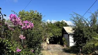 achat maison  à la saline les bains (97434)