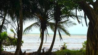 location maison à baie mahault (97122)