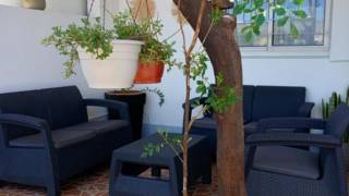 location maison à saint-pierre (97410)
