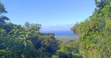 terrain de 5462 m2 constructible aux avirons avec une superbe vue sur le lagon