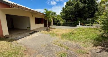 plaine saint paul local professionnel