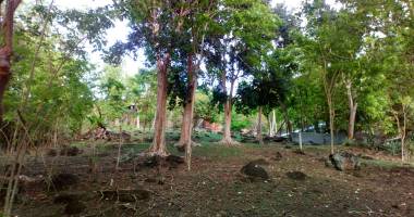 terrain à vendre à bouillante - opportunité pour un projet d'investissement ou de construction