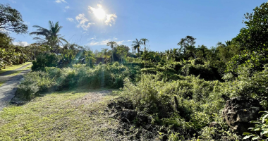 saint philippe 97442 - terrain avec vue degagee - secteur calme