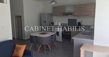 a louer - appartement meublé de type f2 d'environ 43.68m2 - saint-pierre - 917 €
