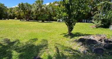 terrain à vendre sur bras panon