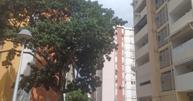 pointe-a-pitre : appartement t4 avec vue degagee