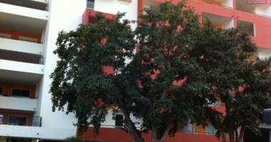 a vendre bel appartement de type f2 de 44,97m2 habitable sur la résidence le florentin à sainte clotilde.