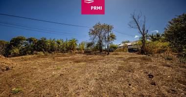 prmi tan rouge saint paul : terrain d'environ 600 m²