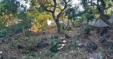 saint pierre 97410 - terrain plat - zone ug - emplacement d e choix