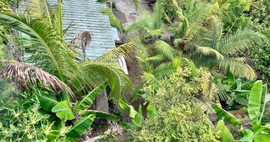 pichette - terrain de 462m2 constructible