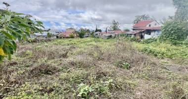 tampon 97430 - terrain plat - zone ub - bien proportionne - secteur paisible