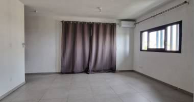 studio récent (2023) la possession (pinel)