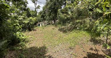 terrain constructible de 399 m2 à la bretagne saint-denis