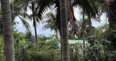 terrain rectangle et plat de 328 m2 à 380 m d'altitude, pleine vue mer, à 2 minutes du centre ville.