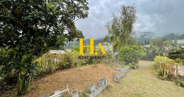 terrain saint louis 531m2